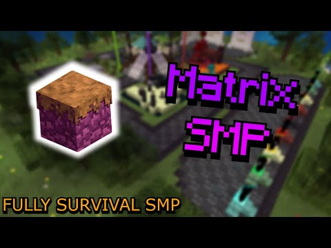 Matrix SMP