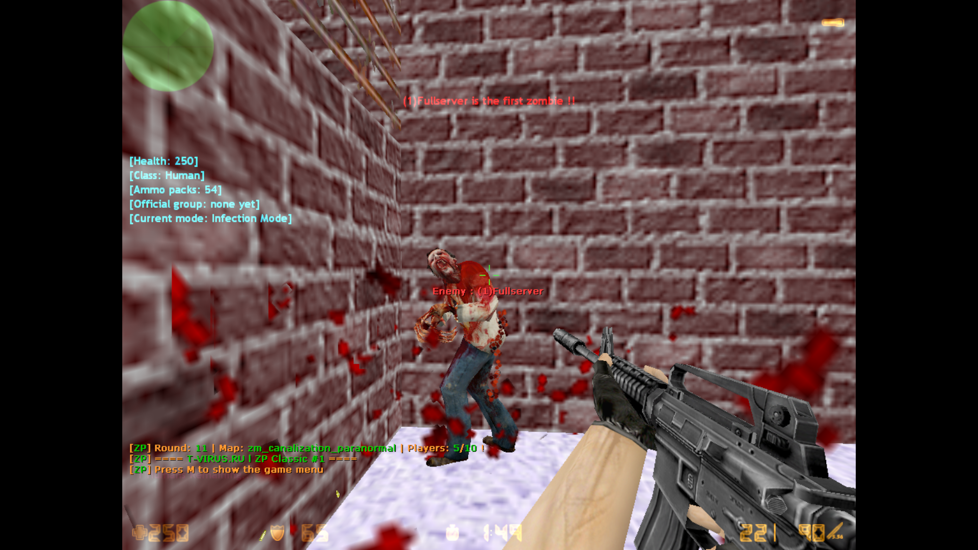 T virus l zp 1 cs 1 6 server topg