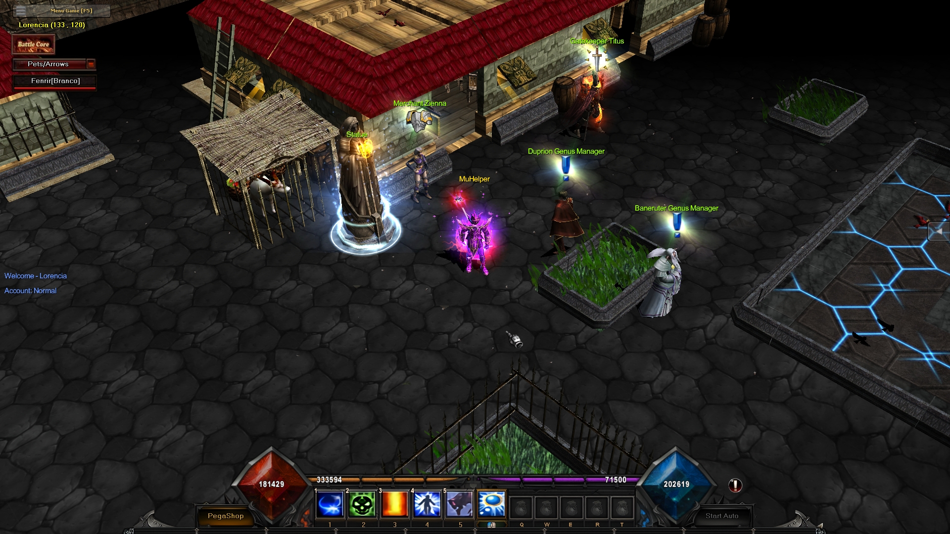 Amerikamu episode 20 - Частный сервер Mu (TopG Gallery Image 6)