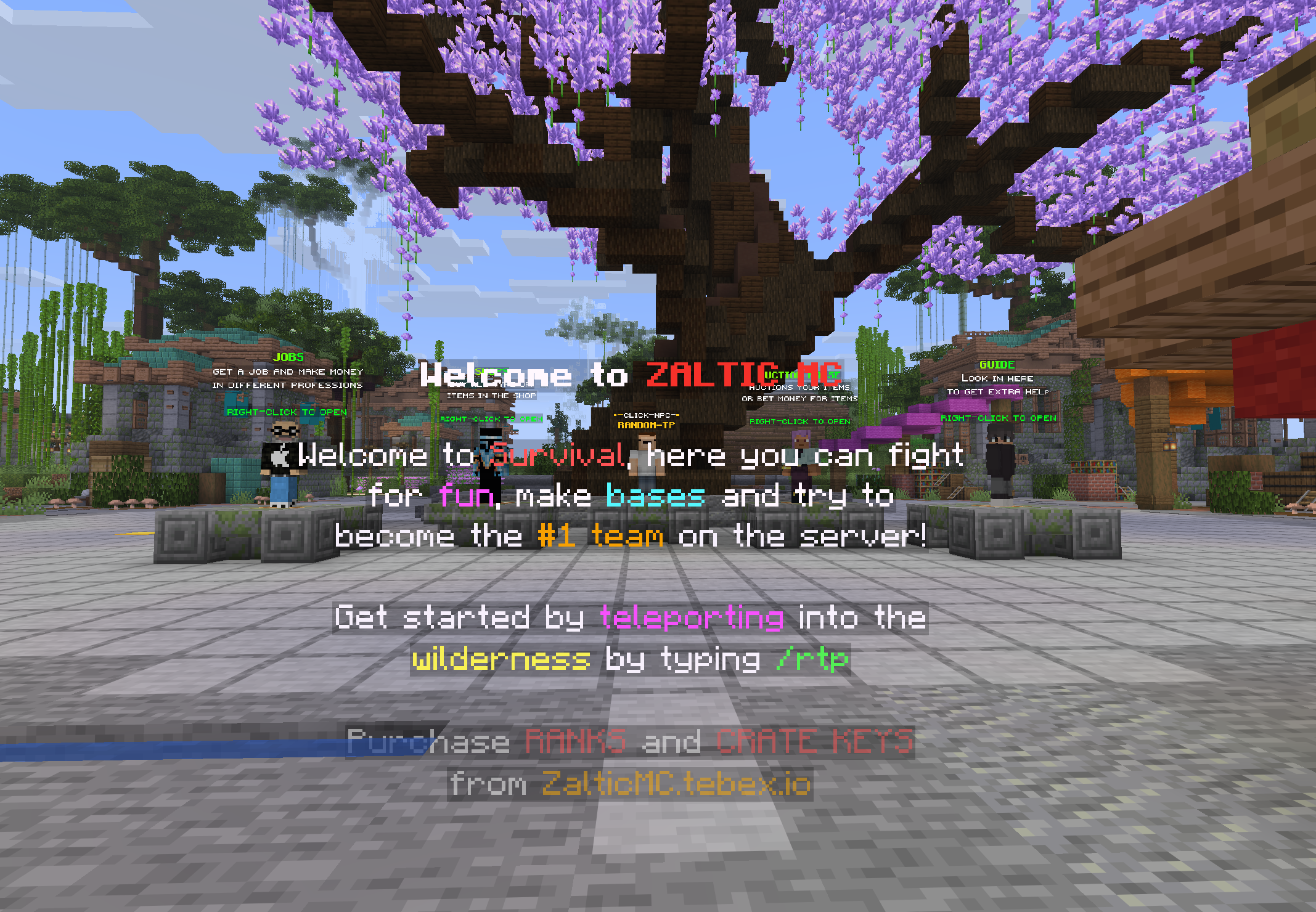 Zaltic mc - Minecraft server (TopG Gallery Image 4)