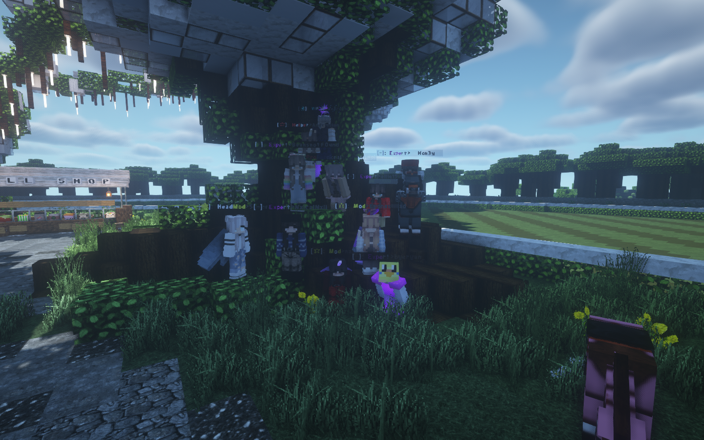 Equestrifun - Server de Minecraft (TopG Gallery Image 2)