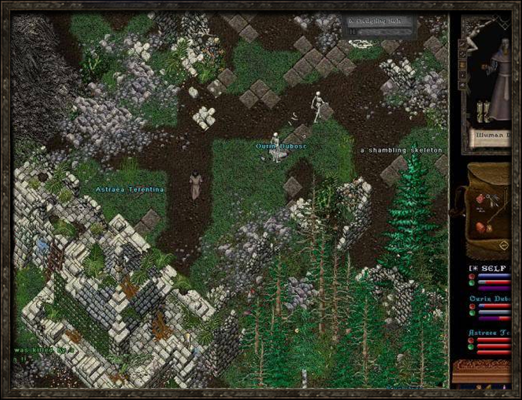 Requiem - Ultima Online private server (TopG Gallery Image 4)