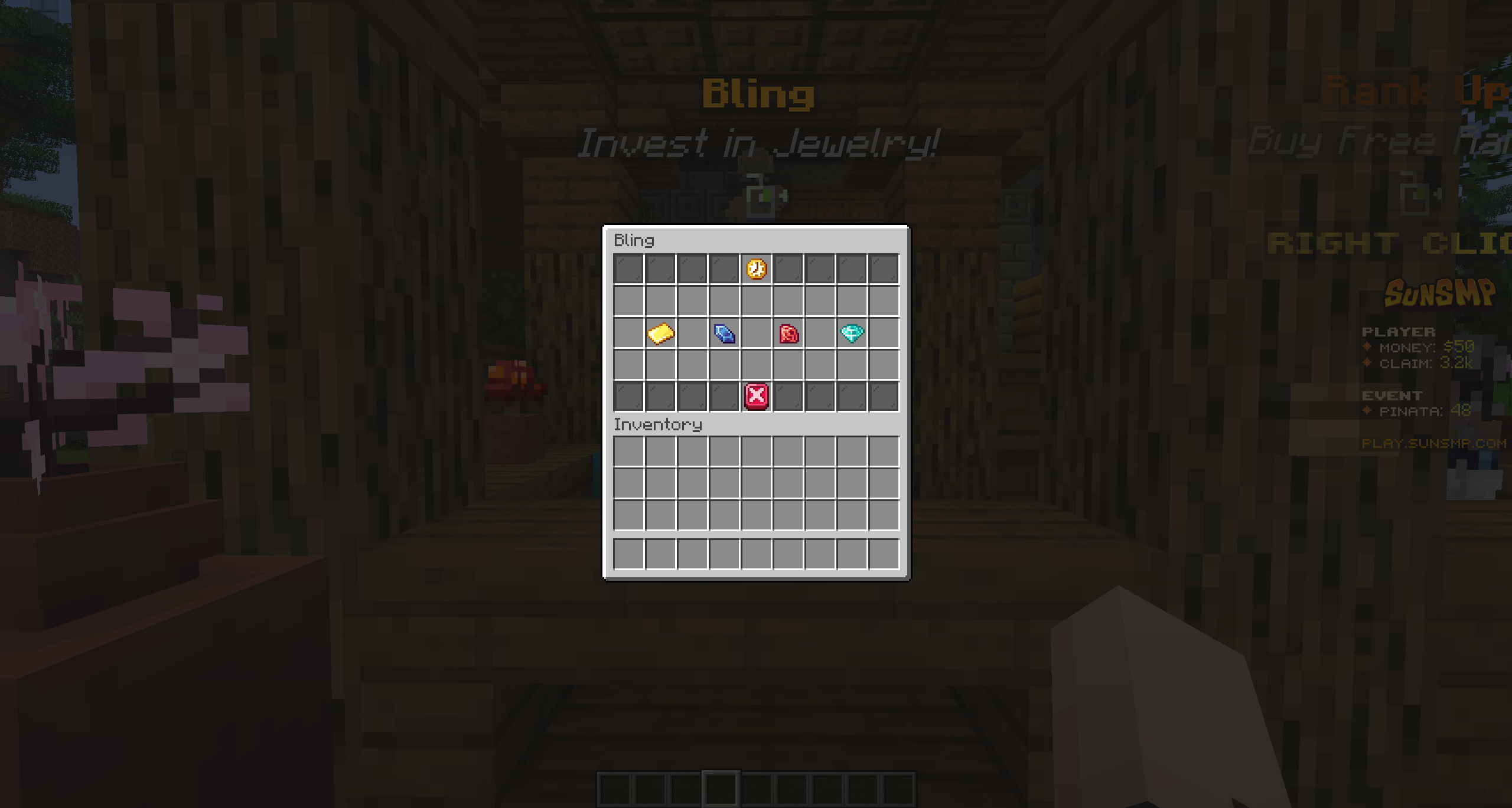 Sunsmp - Minecraft sunucuı (TopG Gallery Image 1)