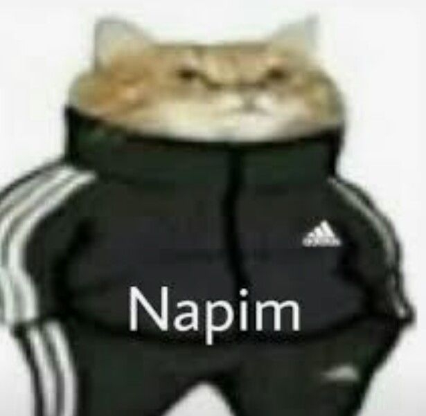 Napim - servidor de Minecraft (TopG Gallery Image 1)