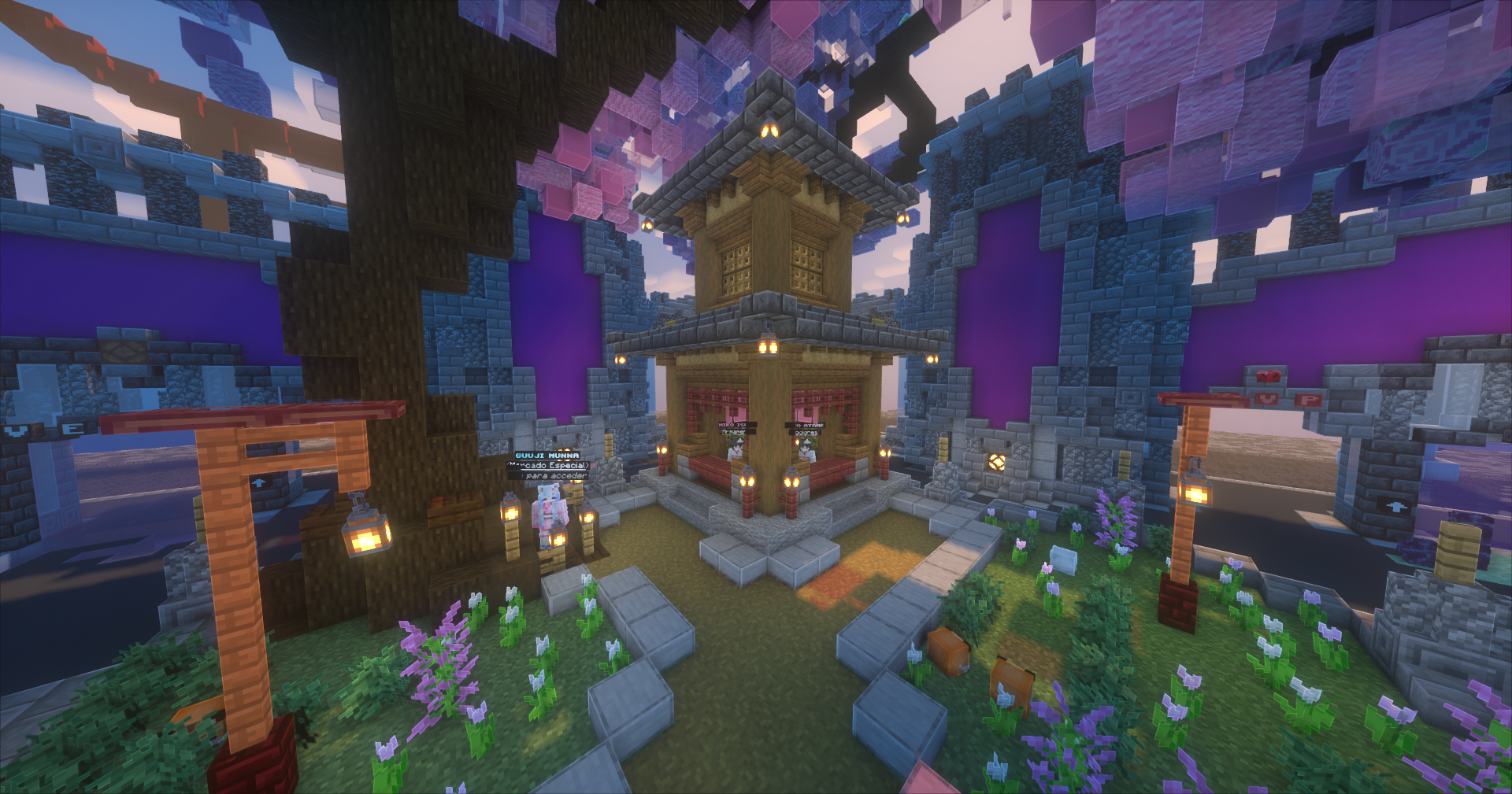 Souly.live - Minecraft sunucuı (TopG Gallery Image 5)