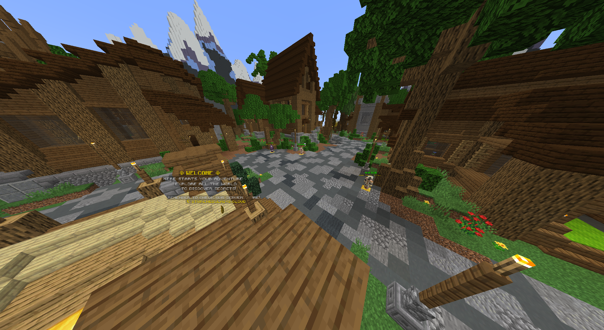 Beyondsurivval - Server de Minecraft (TopG Gallery Image 1)