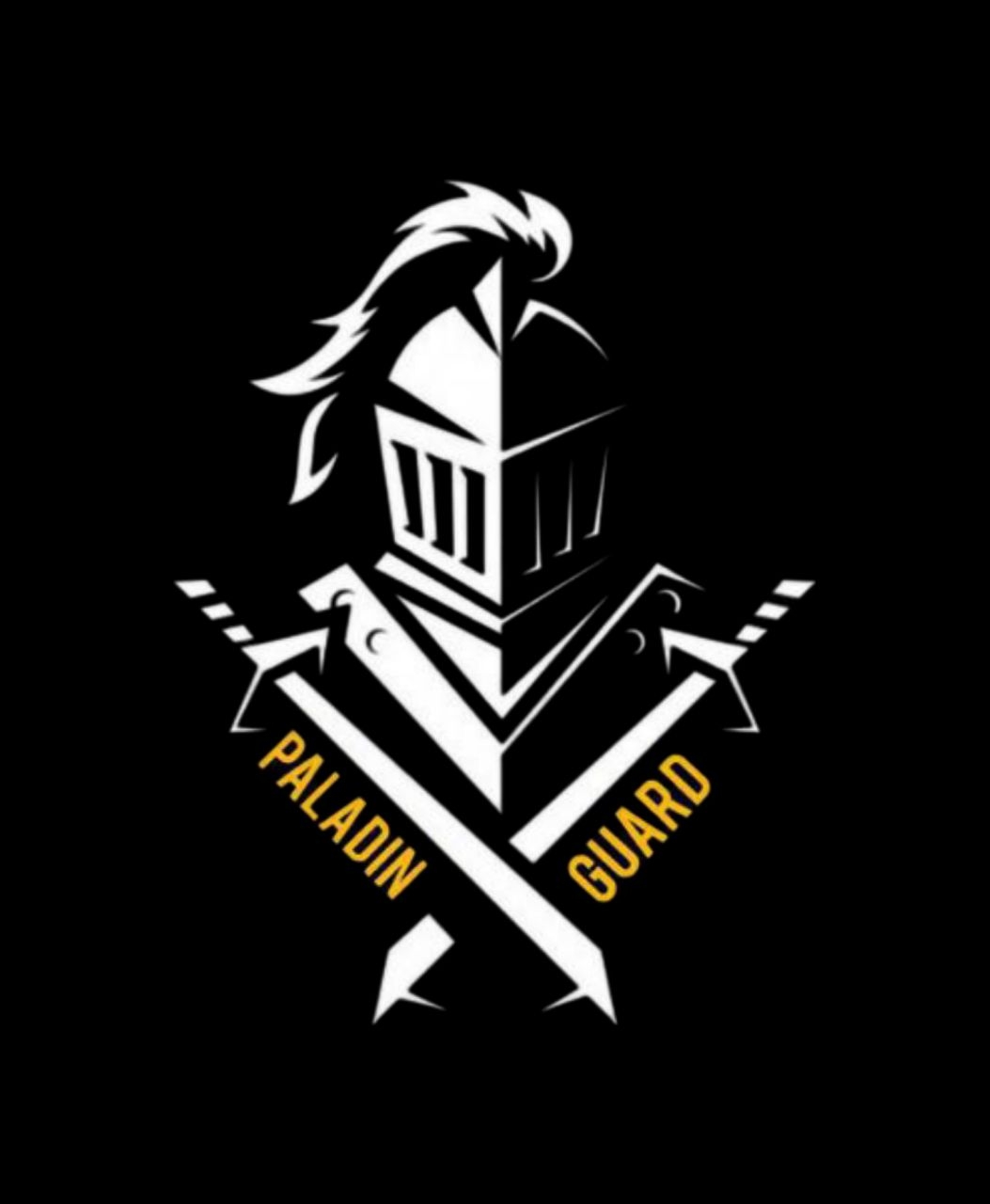 Paladinguard - Серверы Discord (TopG Gallery Image 1)