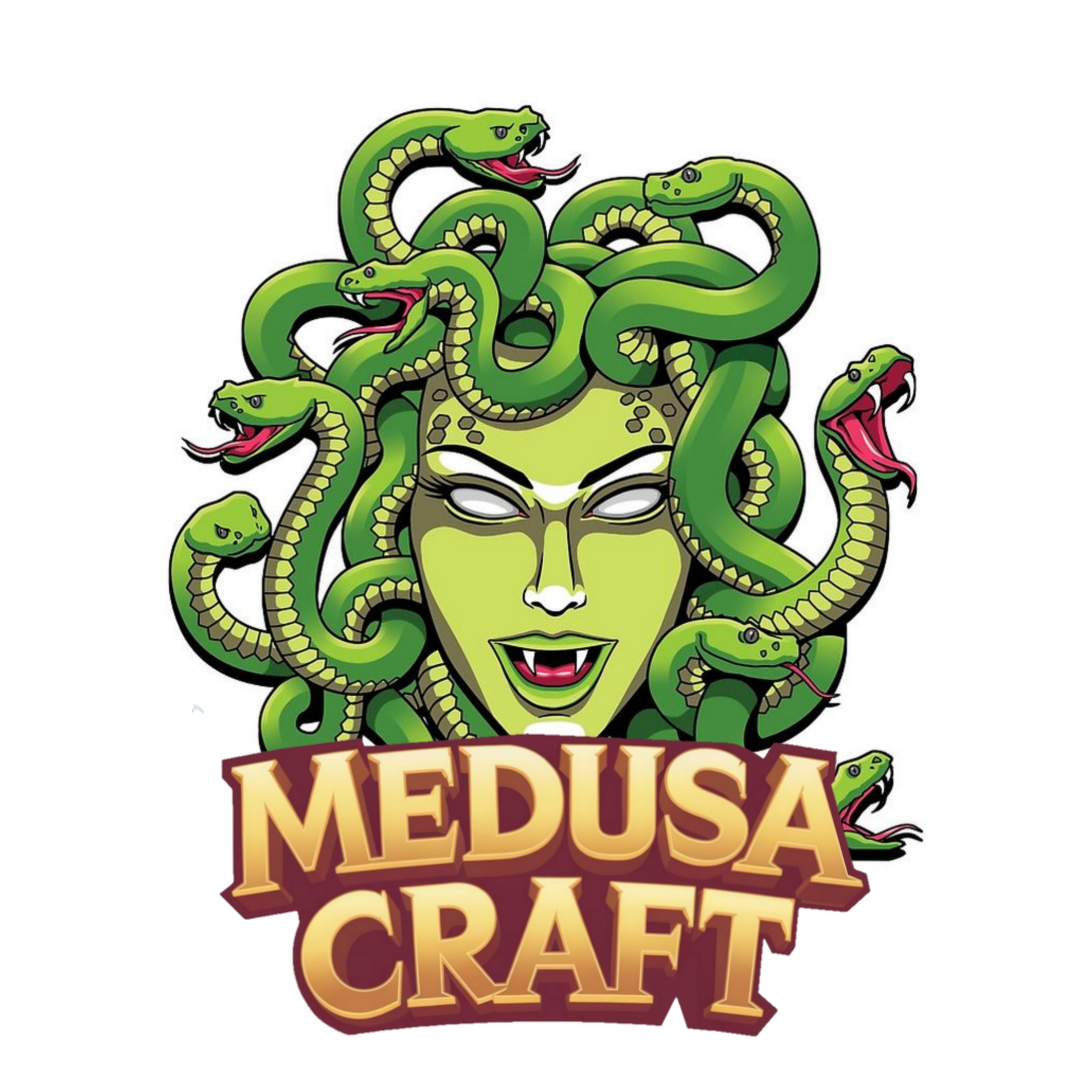 Medusa craft - servidor de Minecraft (TopG Gallery Image 1)
