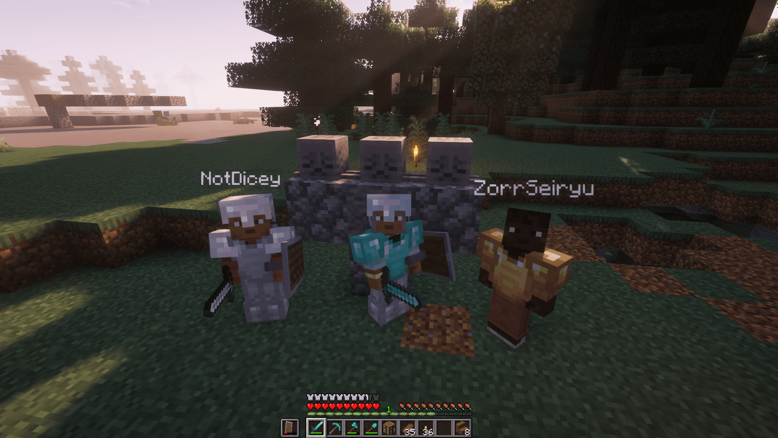 Dawnsmp - servidor de Minecraft (PT) (TopG Gallery Image 1)