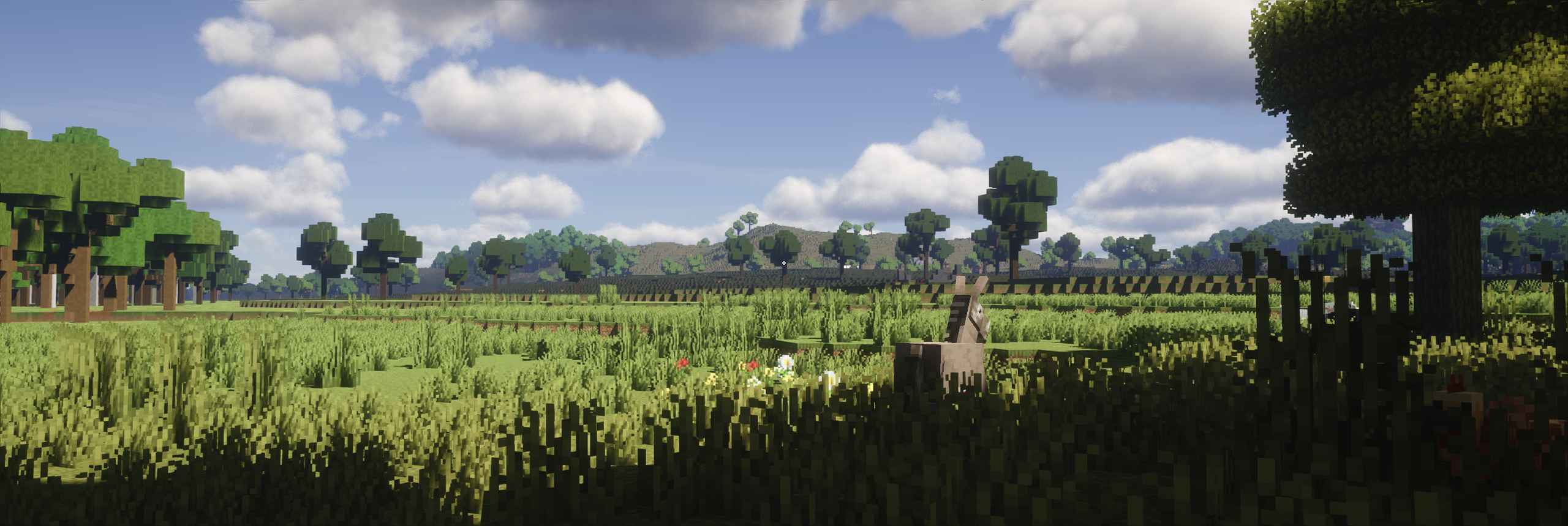 Anothersmp - servidor de Minecraft (PT) (TopG Gallery Image 2)