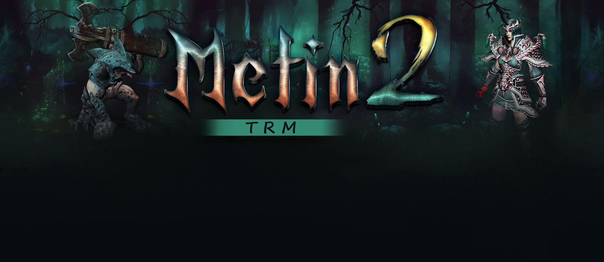 Trmmt2.ro - Metin2 private server (TopG Gallery Image 1)