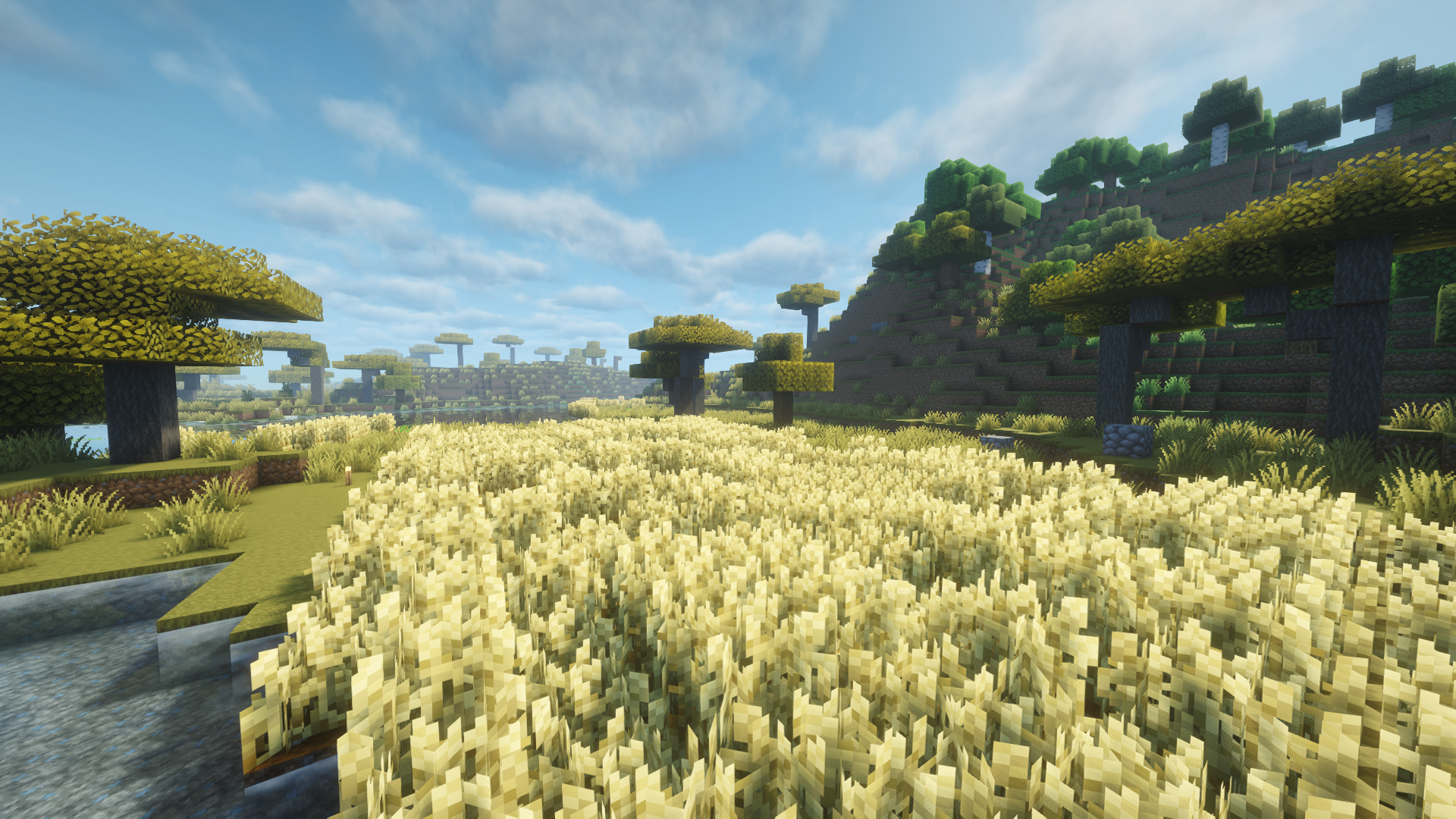 Survivalcraft - Minecraft server (TopG Gallery Image 6)