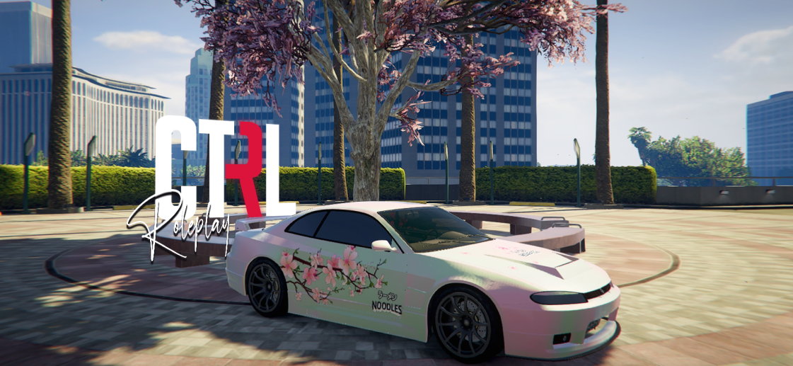 Ctrl roleplay - Server FiveM (TopG Gallery Image 11)