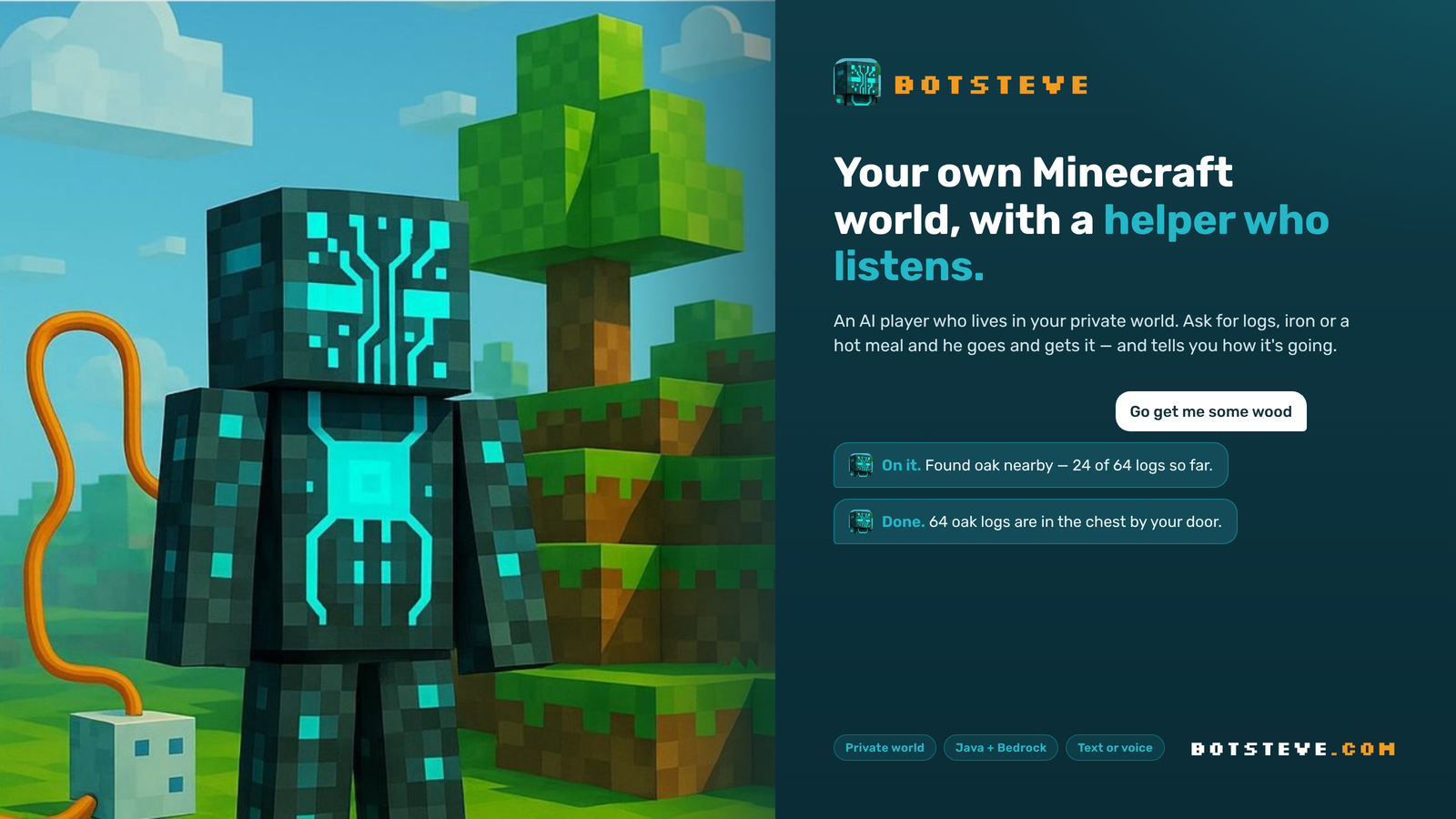 Botsteve - Minecraft server (TopG Gallery Image 1)