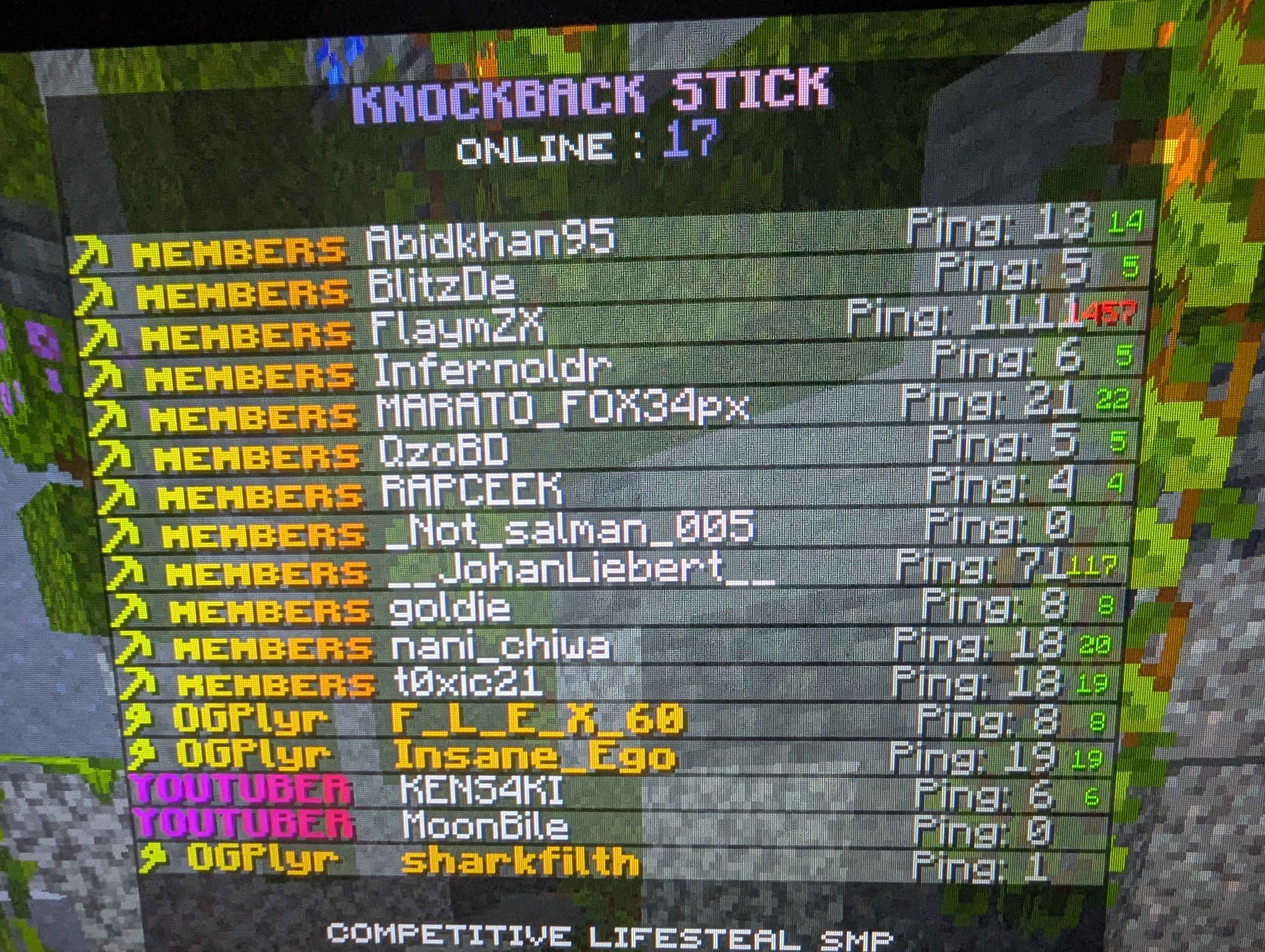 Knockback stick - Server de Minecraft (TopG Gallery Image 1)