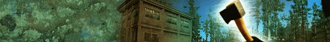 Server banner