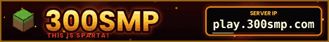 300SMP - new server