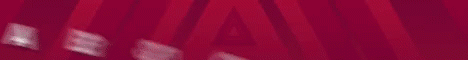 Absolute Network Absolute Network