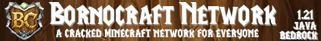 BornoCraft Network