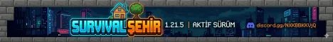 Survival Şehir 2