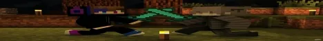 Survival Server