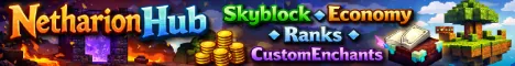 NetharionHub