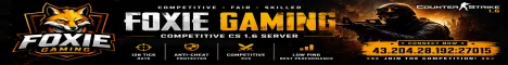Counter Strike 1.6 servers Foxie Gaming