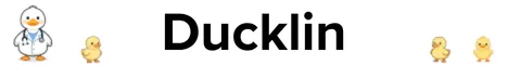 Minecraft servidores Ducklin