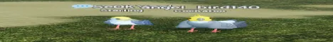 Luckyosmp