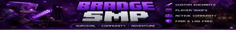Bradge SMP