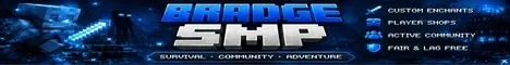 BradgeSMP