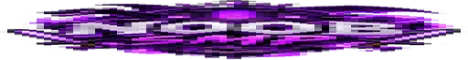 THE NOOB SMP