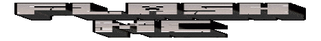 Flash mc Banner