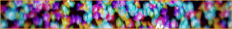 Survborn Banner