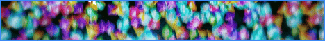 Runica Network MMO