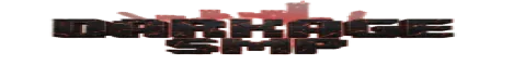 DARKAGE SMP