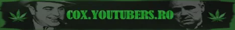 COX.YOUTUBERS.RO