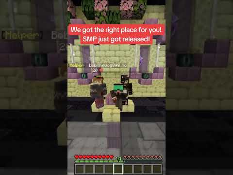 Minecraft smp - Minecraft server (TopG Youtube Trailer Image 1)