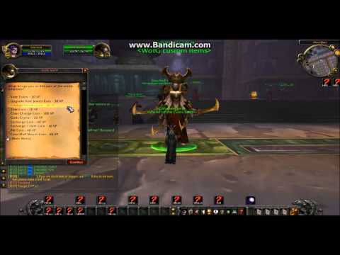 Creating your own Wow private server in 2020, by TopG